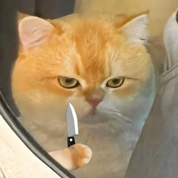 ảnh cầm dao meme thu hút