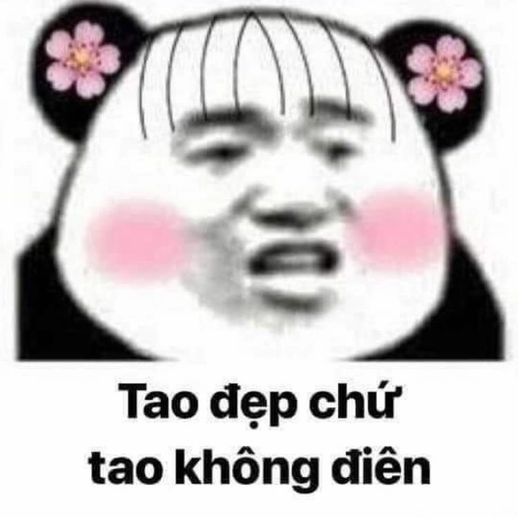 Bộ sưu tập meme trung quốc hài hước bá đạo nhất không thể bỏ qua 9 Ảnh chế gấu trúc với dòng chữ tao đẹp chứ tao không điên