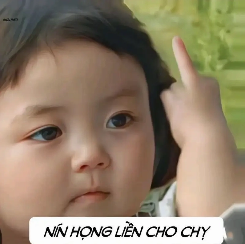 Bộ sưu tập ảnh em bé meme hài hước ngộ nghĩnh nhất 2026 13 Ảnh chế kèm chữ hay và thú vị của em bé meme