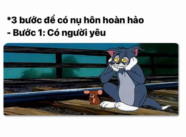 Ảnh meme mèo Tôm cho người FA với vẻ mặt cô đơn