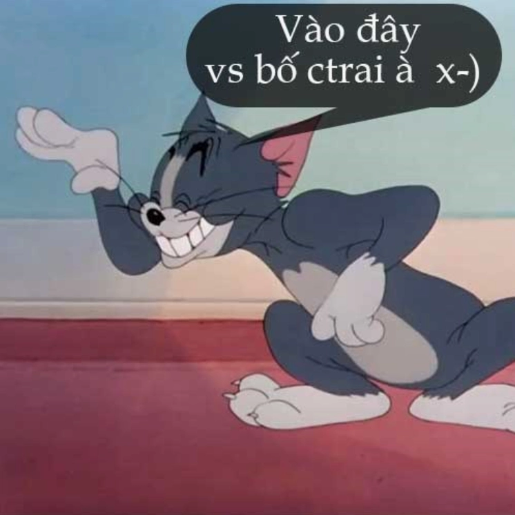 Ảnh meme mèo Tôm cợt nhả cười khẩy