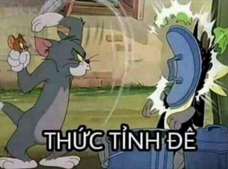 Ảnh meme mèo Tôm hài hước khi bị giật mình