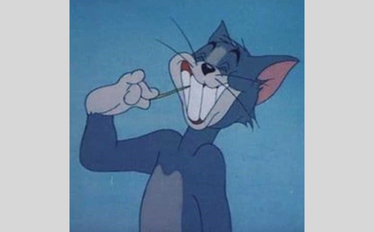 Ảnh meme mèo Tôm hài hước với nụ cười gượng gạo