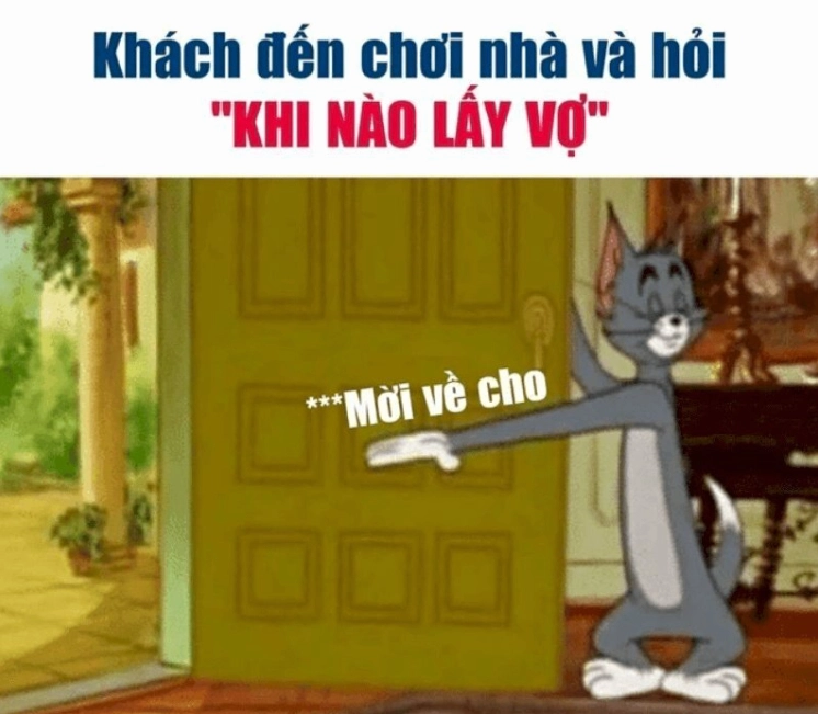 Ảnh meme mèo Tôm troll với ánh mắt gian xảo