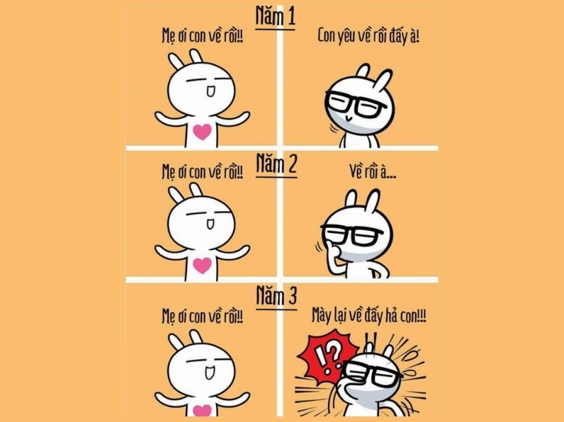 Bộ sưu tập ảnh meme hài hước lôi cuốn và đầy gợi cảm 6 Ảnh meme thái độ phụ huynh 3 năm đại học với con đầy hài hước