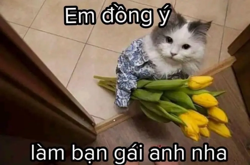 Ảnh meme tỏ tình bá đạo khiến ai cũng thích