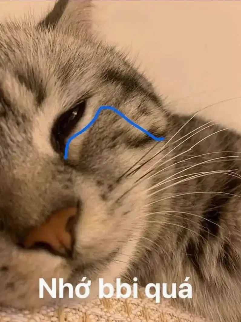 Ảnh meme tỏ tình hài hước thả tim liền