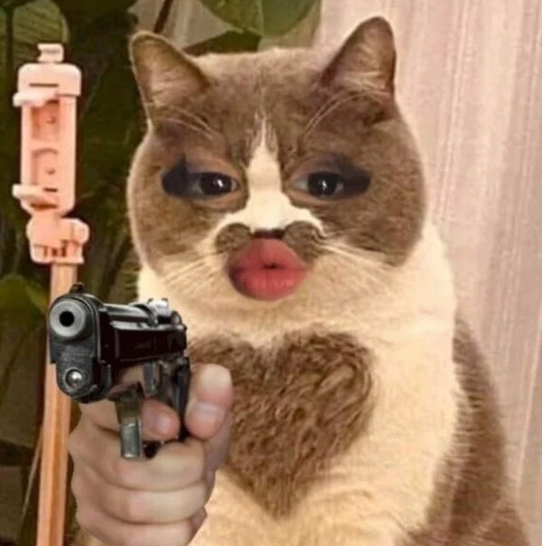 Ảnh mèo meme bắn súng hài hước