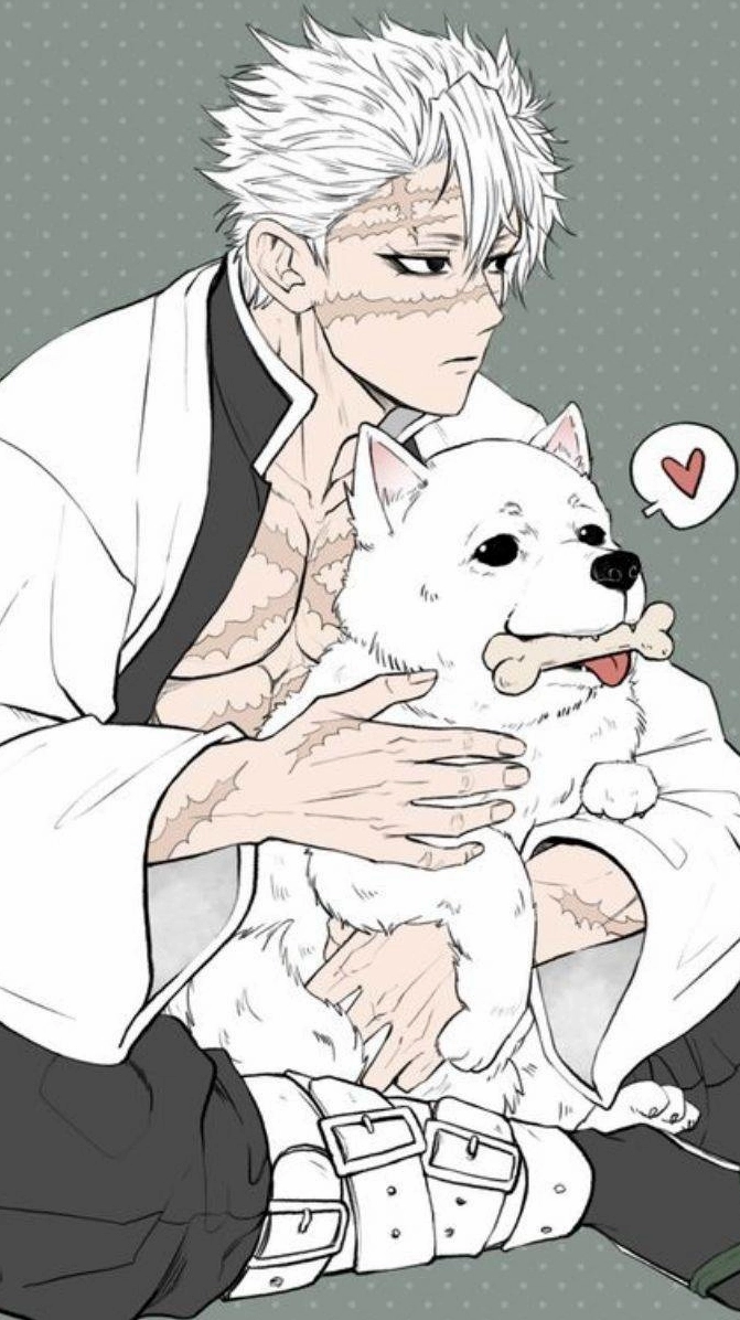 Bộ sưu tập ảnh anime Sanemi cực ngầu sắc nét mới nhất 4 Ảnh nền Sanemi 4k chất lượng cao