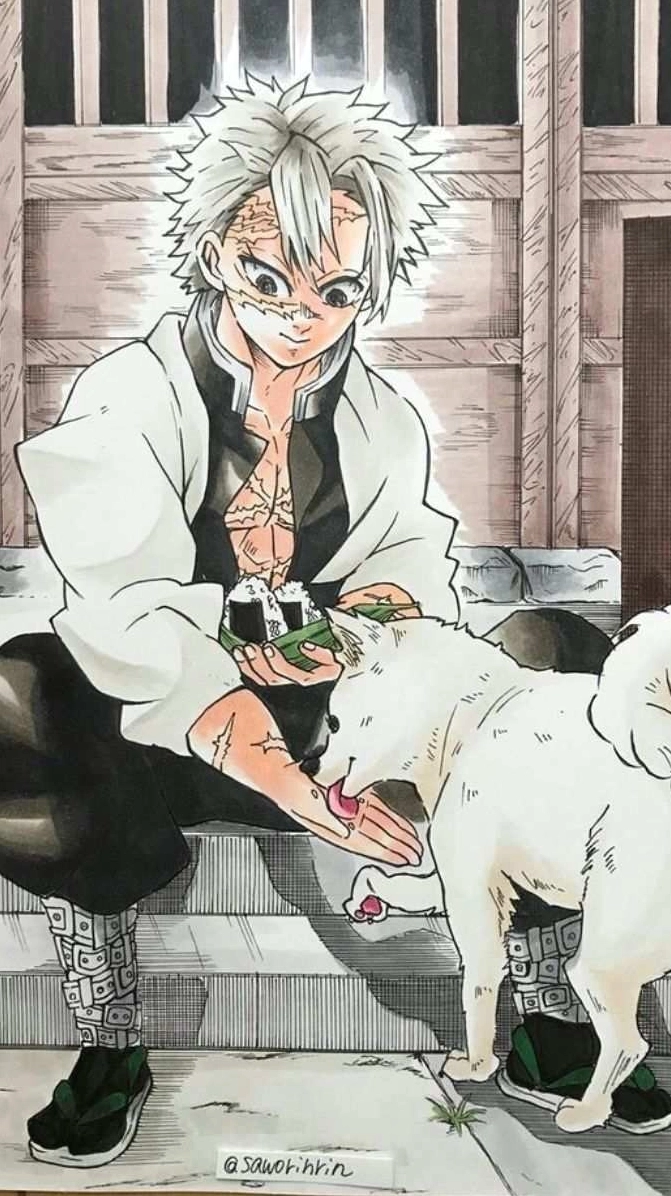 Bộ sưu tập ảnh anime Sanemi cực ngầu sắc nét mới nhất 9 Anime Sanemi oai phong trên màn ảnh