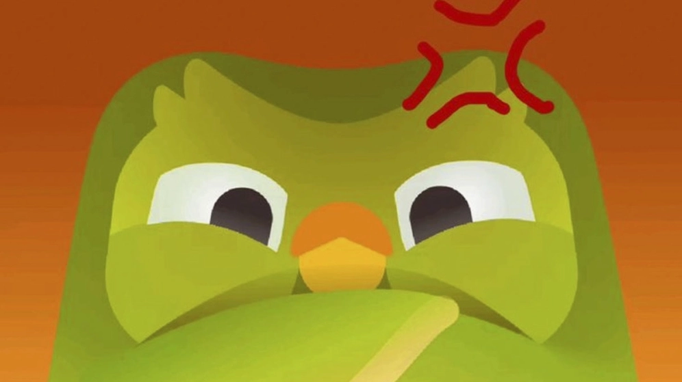 Bộ sưu tập ảnh duolingo meme bá đạo khiến bạn cười nghiêng ngả 15 Bộ sưu tập ảnh Duolingo Meme khiến dân mạng phát cuồng chia sẻ