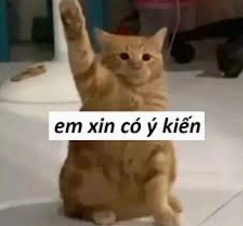 Tổng hợp bộ sưu tập hình nền meme cực lôi cuốn và độc lạ 21 Bộ sưu tập ảnh meme cười chảy nước mắt cực kỳ duyên dáng