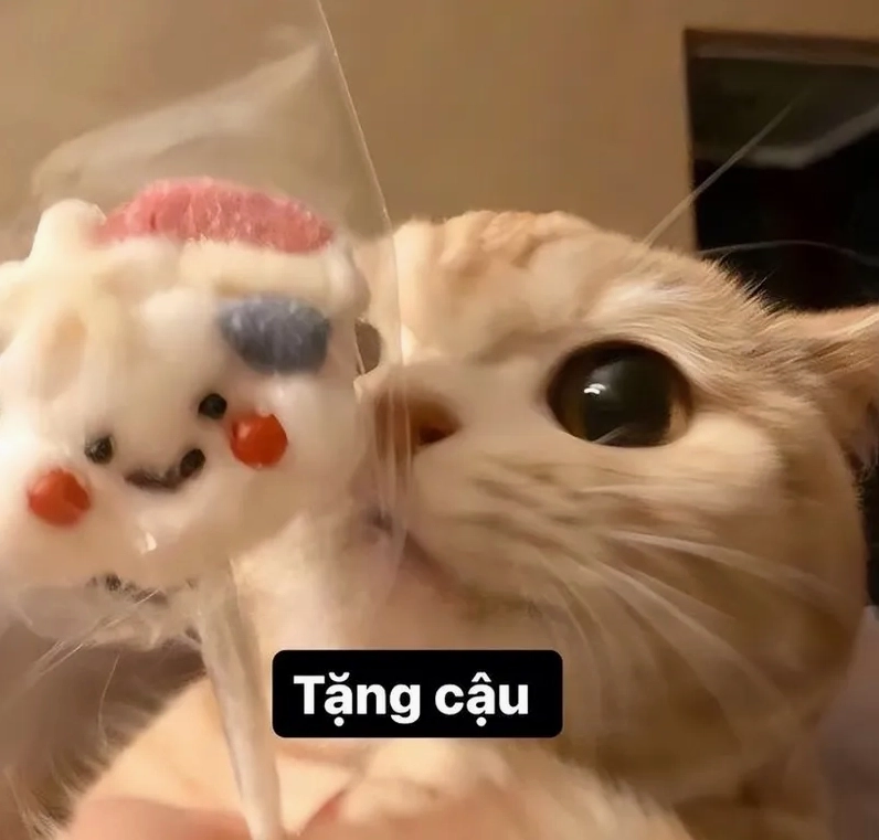 Bộ sưu tập avatar vô tri mèo cực chất lượng cho điện thoại