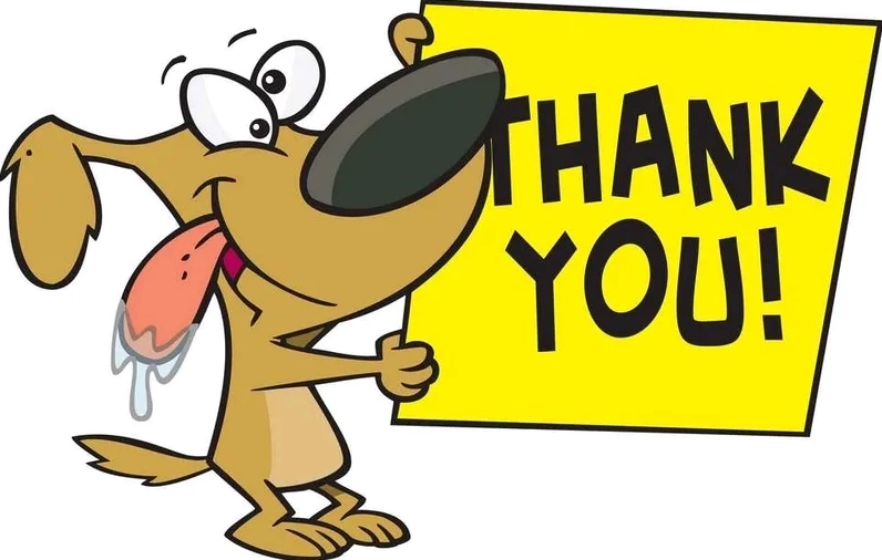 Trọn bộ ảnh meme thank you hài hước độc đáo nhất năm 2026 6 Bộ sưu tập những hình ảnh meme thank you hài hước dùng để tặng bạn bè thân thiết