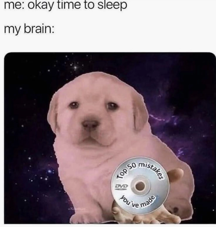 Bộ sưu tập quieres meme hài hước nhất khiến bạn không thể nhịn cười 17 Bức ảnh chế hài hước diễn tả suy nghĩ miên man trước khi đi ngủ