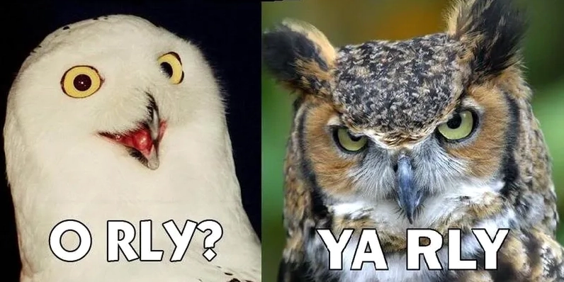 Bức ảnh giải thích khái niệm really meme là gì một cách trực quan nhất