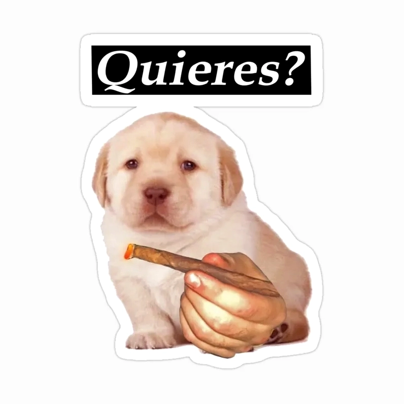 Bộ sưu tập quieres meme hài hước nhất khiến bạn không thể nhịn cười 2 Bức ảnh giải thích ý nghĩa thú vị của hiện tượng mạng quieres meme