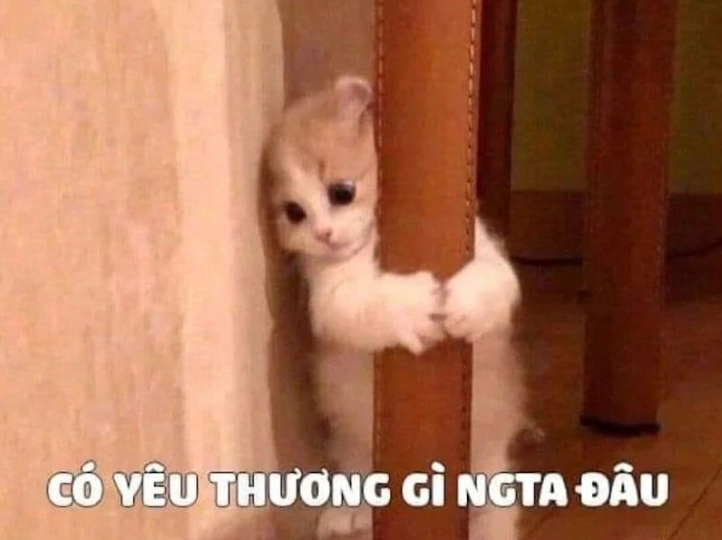 Bộ sưu tập meme tình yêu đáng yêu và hài hước nhất năm 2026 27 Bức ảnh hướng dẫn khi nào nên sử dụng meme tình yêu