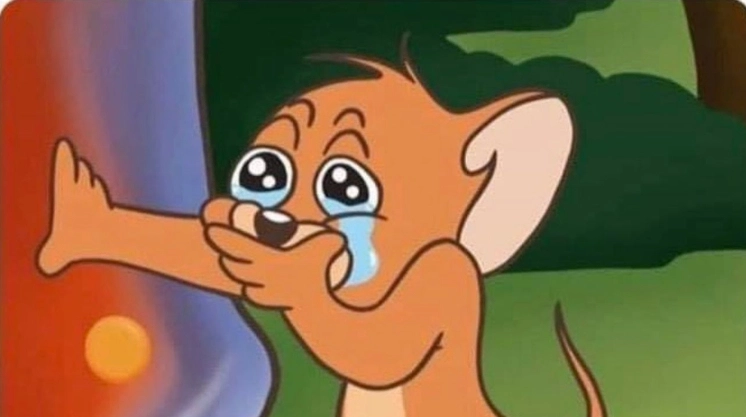 Bức ảnh jerry khóc meme đầy cảm xúc và hài hước