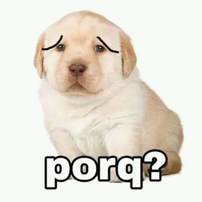 Bộ sưu tập quieres meme hài hước nhất khiến bạn không thể nhịn cười 8 Bức ảnh khiến bạn muốn cười ngay lập tức với biểu cảm của chú chó trong quieres meme