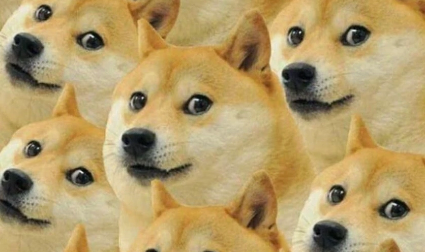 Bức ảnh Meme hài hước mang tính giải trí cực mạnh