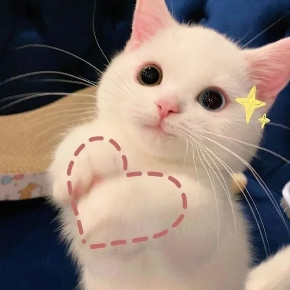 Bộ sưu tập 30 ảnh meme trái tim hài hước đáng yêu nhất 18 Bức ảnh meme trái tim đáng yêu với biểu cảm siêu cưng