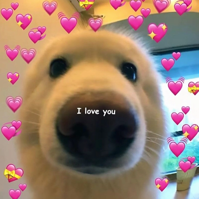 Bộ sưu tập meme tình yêu đáng yêu và hài hước nhất năm 2026 2 Bức ảnh thể hiện ý nghĩa sâu sắc của meme tình yêu