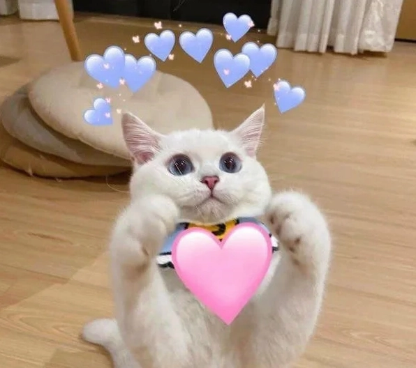Bộ sưu tập 30 ảnh meme trái tim hài hước đáng yêu nhất 22 Bức meme trái tim đáng yêu cưng xỉu khó lòng rời mắt