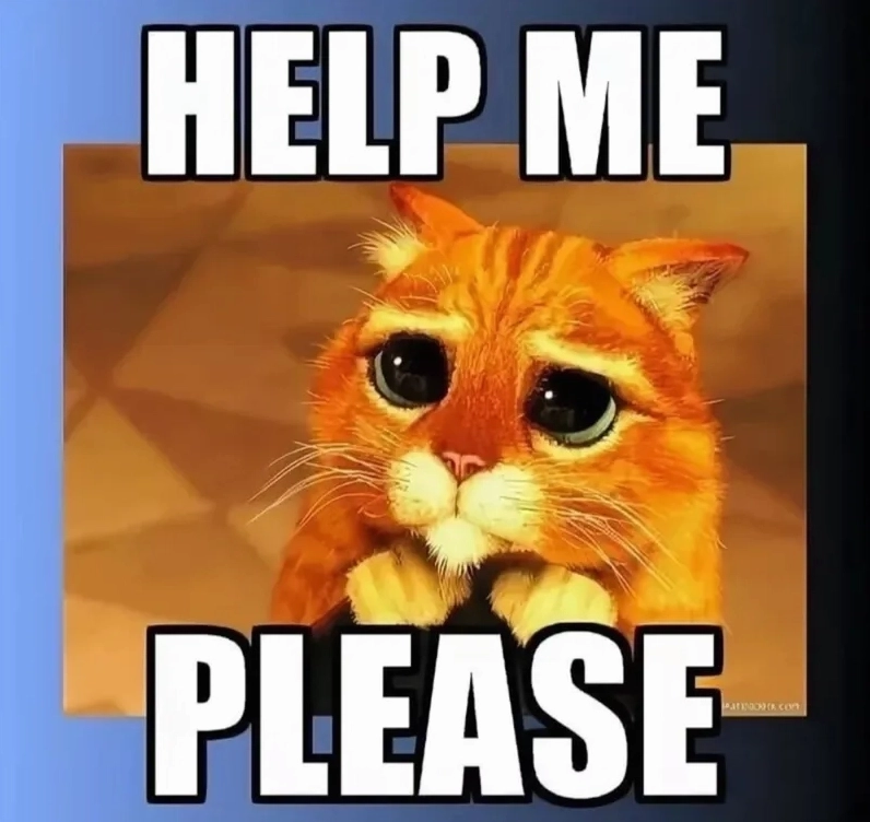 Tổng hợp những hình ảnh please meme cực hài hước và đáng yêu nhất 5 Cảnh cầu xin hài hước của một nhân vật trong begging please meme