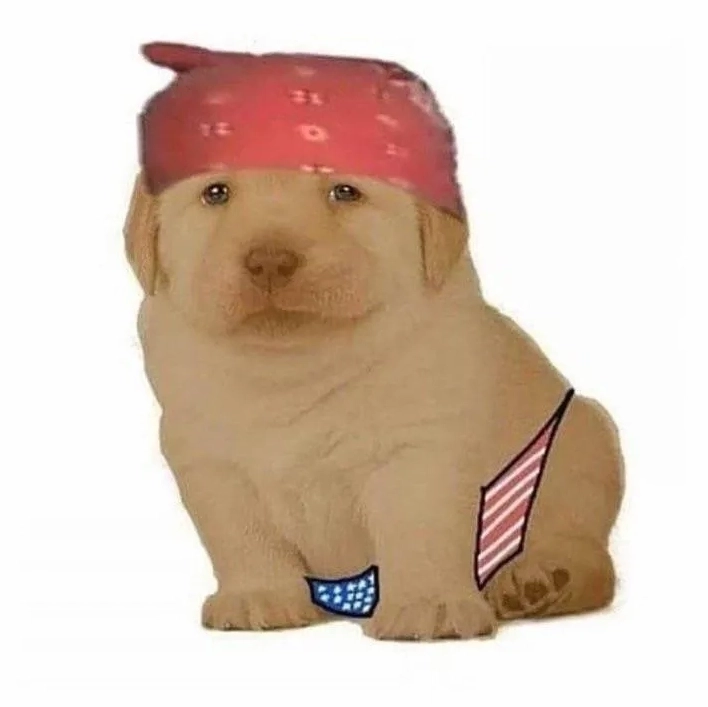 Bộ sưu tập quieres meme hài hước nhất khiến bạn không thể nhịn cười 14 Cập nhật những xu hướng mới nhất liên quan đến quieres meme trên mạng xã hội