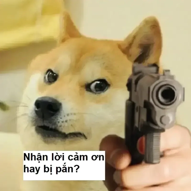 Trọn bộ ảnh meme thank you hài hước độc đáo nhất năm 2026 7 Chia sẻ cảm xúc chân thành với bức ảnh thank you for the happiest year of my life meme