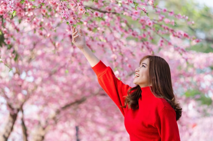 Cô gái vui vẻ tươi cười rạng rỡ khi đi dạo ngắm hoa anh đào mùa xuân