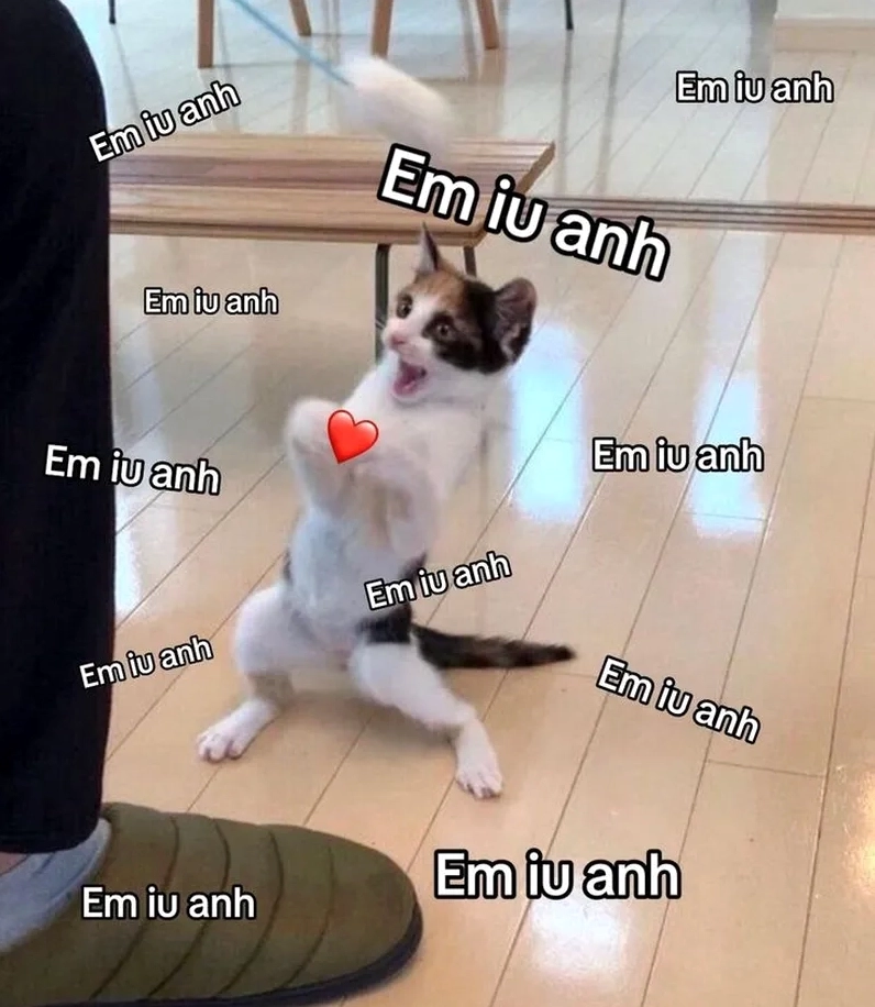 Cực đáng yêu với ảnh meme thả thính đang viral