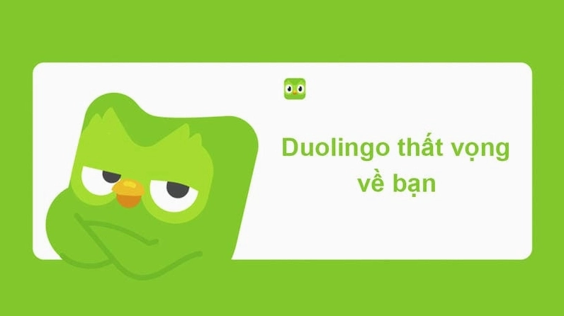 Bộ sưu tập ảnh duolingo meme bá đạo khiến bạn cười nghiêng ngả 4 Cùng cười với những hình meme duolingo đáng sợ nhưng hài hước
