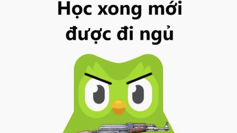 Bộ sưu tập ảnh duolingo meme bá đạo khiến bạn cười nghiêng ngả 16 Cười sặc với loạt duolingo memes siêu lầy hot nhất hôm nay trên mạng
