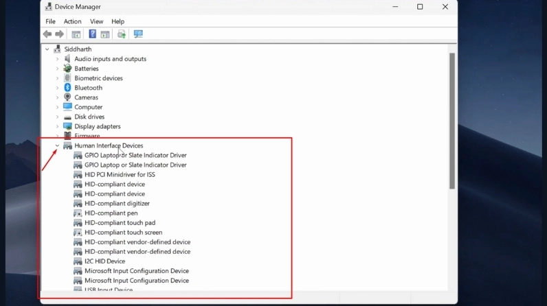 Hướng dẫn chi tiết cách mở cảm ứng màn hình laptop Dell cực kỳ đơn giản 2 Danh sách thiết bị trong phần Human Interface Devices của công cụ Device Manager