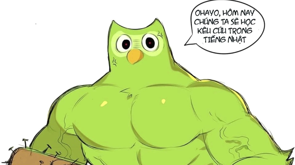 Bộ sưu tập ảnh duolingo meme bá đạo khiến bạn cười nghiêng ngả 14 Gà mờ ngoại ngữ chắc chắn sẽ yêu meme duolingo ngay từ cái nhìn đầu tiên