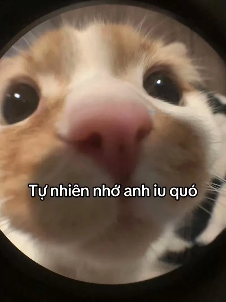 Gây cười cực mạnh nhờ loạt thả thính meme cực chất