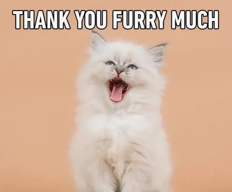 Trọn bộ ảnh meme thank you hài hước độc đáo nhất năm 2026 5 Giải trí cực vui với bức ảnh chế thank you for listening đang là hot trend