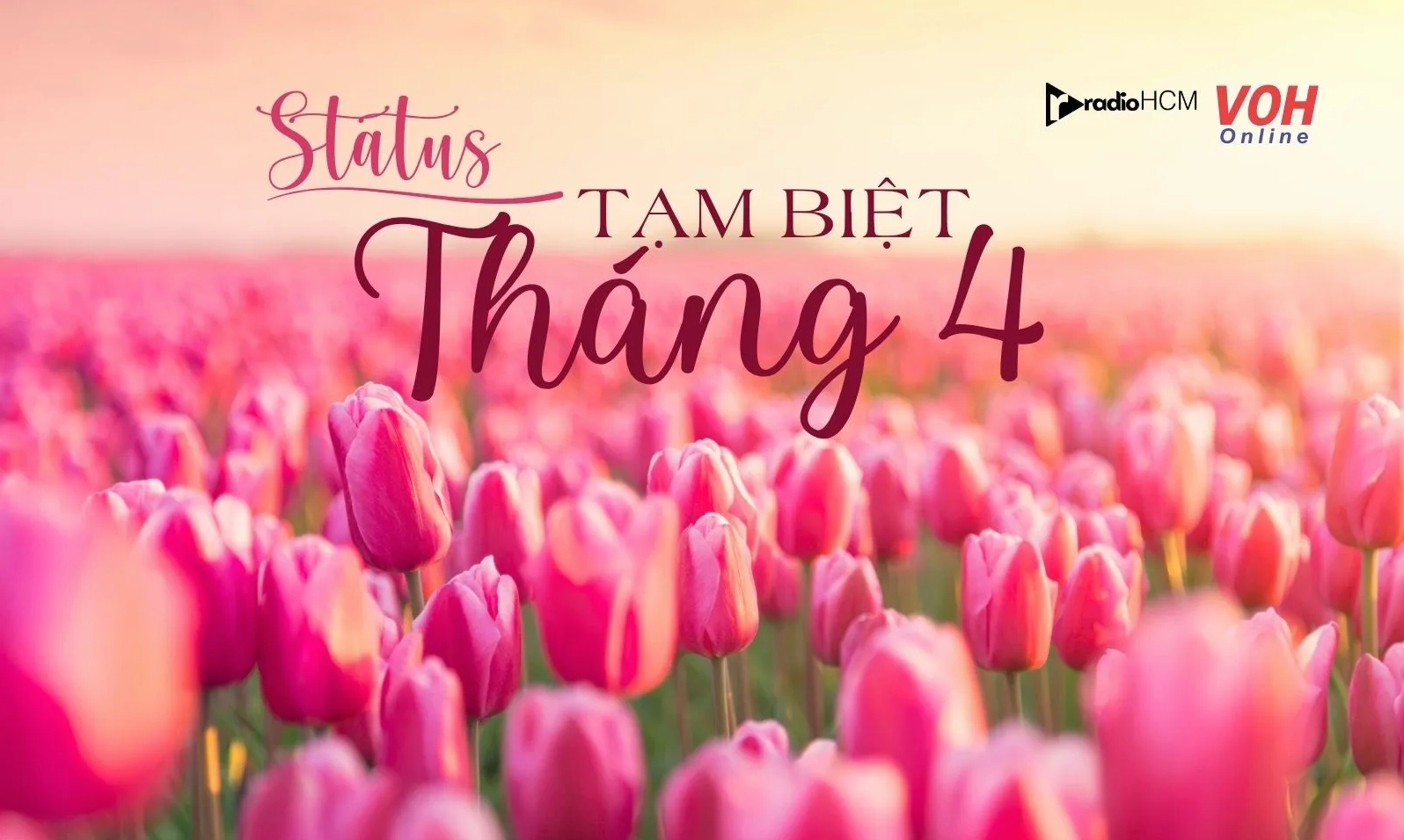 Bộ sưu tập hình ảnh cô gái tháng 2 rực rỡ và quyến rũ nhất 2026 6 Góc nghiêng thần thánh quyến rũ mọi ánh nhìn