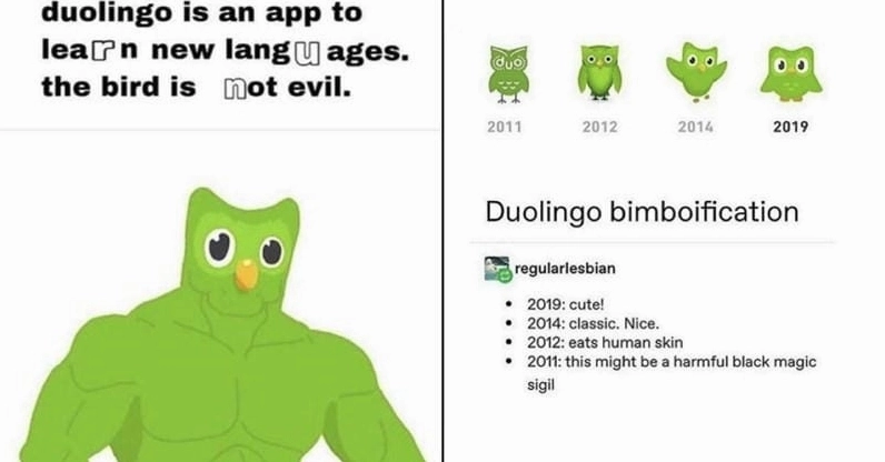 Bộ sưu tập ảnh duolingo meme bá đạo khiến bạn cười nghiêng ngả 3 Gợi ý những bức meme duolingo bá đạo khiến bạn cười nghiêng ngả