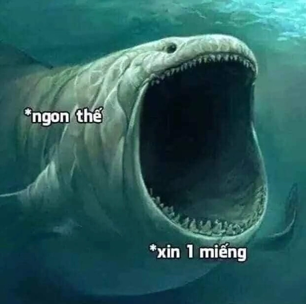 Gương mặt bất ngờ của meme há mồm khiến ai cũng bật cười nắc nẻ