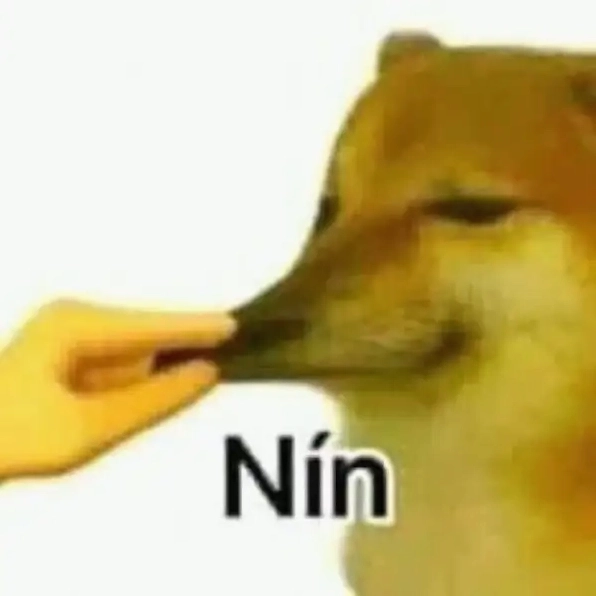 Hài khó đỡ cùng meme cheems nín đang trend