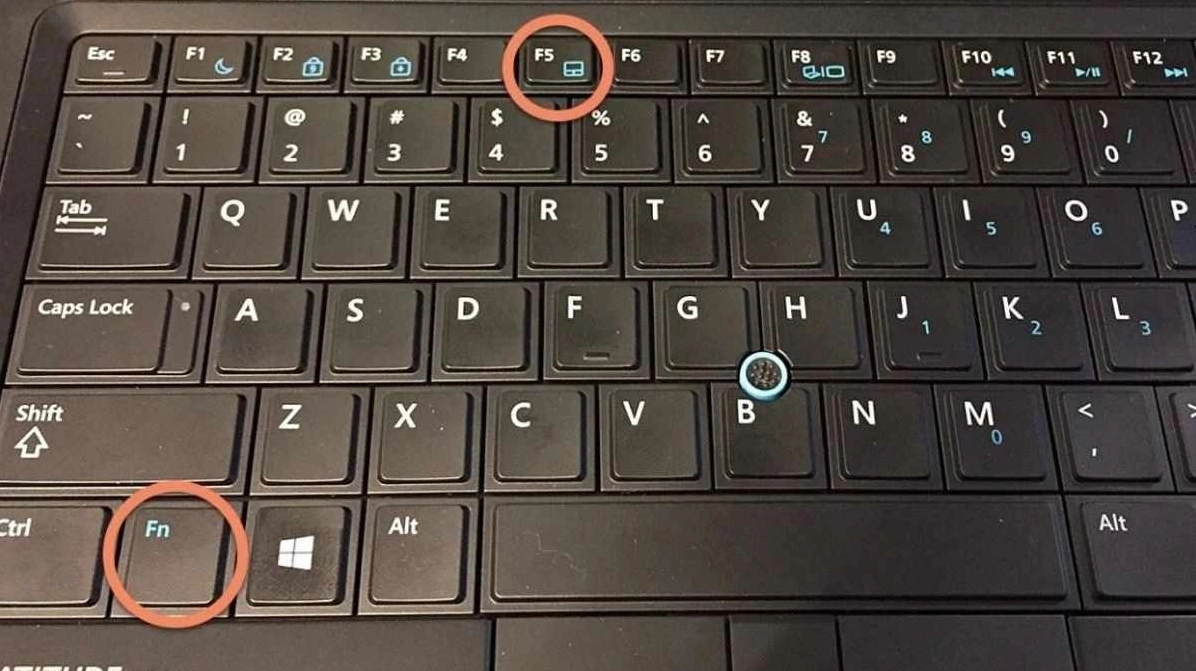Hầu hết laptop đều có phím tắt để bật tắt touchpad