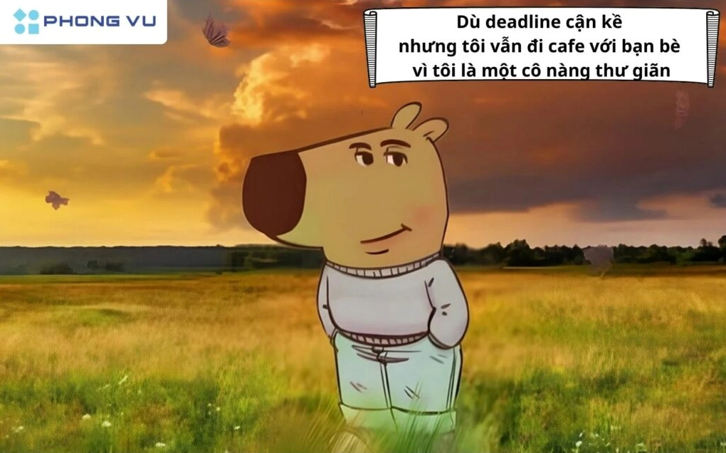 Tổng hợp bộ sưu tập hình ảnh chill guy meme đẹp nhất năm 2026 2 Hình ảnh chill guy meme lan truyền trên mạng xã hội với phong cách nhẹ nhàng