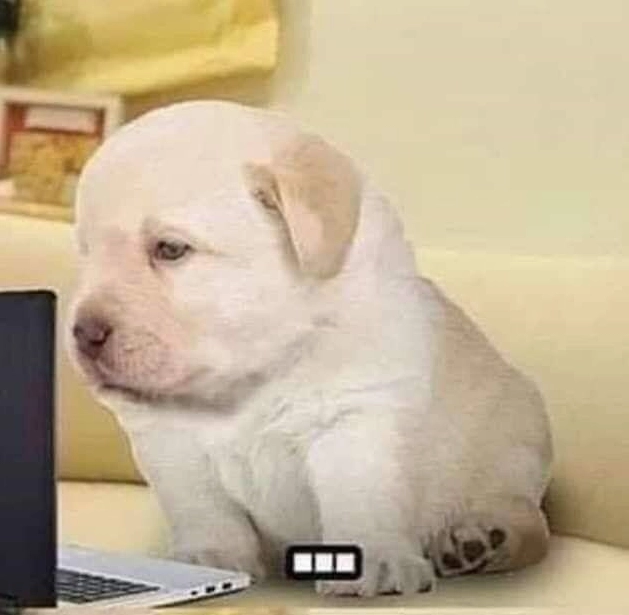 Bộ sưu tập quieres meme hài hước nhất khiến bạn không thể nhịn cười 27 Hình ảnh chốt lại cho một bộ sưu tập quieres meme đầy cảm xúc và tiếng cười