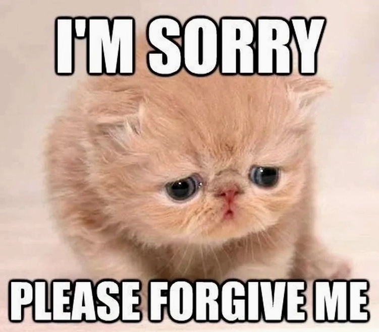 Tổng hợp những hình ảnh please meme cực hài hước và đáng yêu nhất 14 Hình ảnh cô gái chắp tay cầu xin với biểu cảm hài hước trong pretty please meme