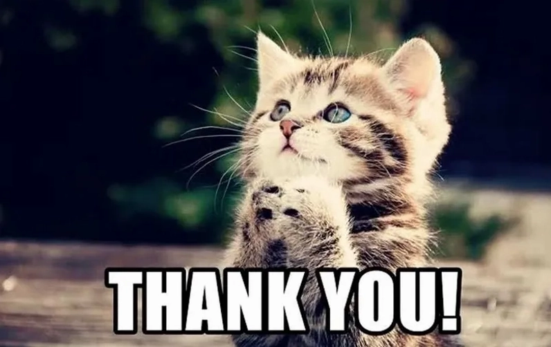 Trọn bộ ảnh meme thank you hài hước độc đáo nhất năm 2026 8 Hình ảnh động thank you meme gif cực kỳ vui nhộn và lôi cuốn