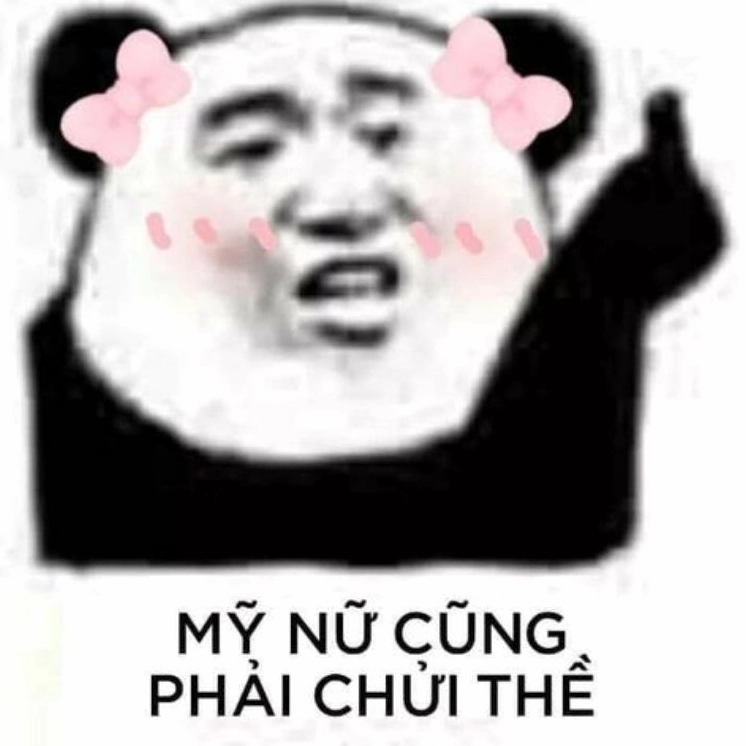 Bộ sưu tập meme trung quốc hài hước bá đạo nhất không thể bỏ qua 16 Hình ảnh hài hước mỹ nữ cũng phải chửi thề