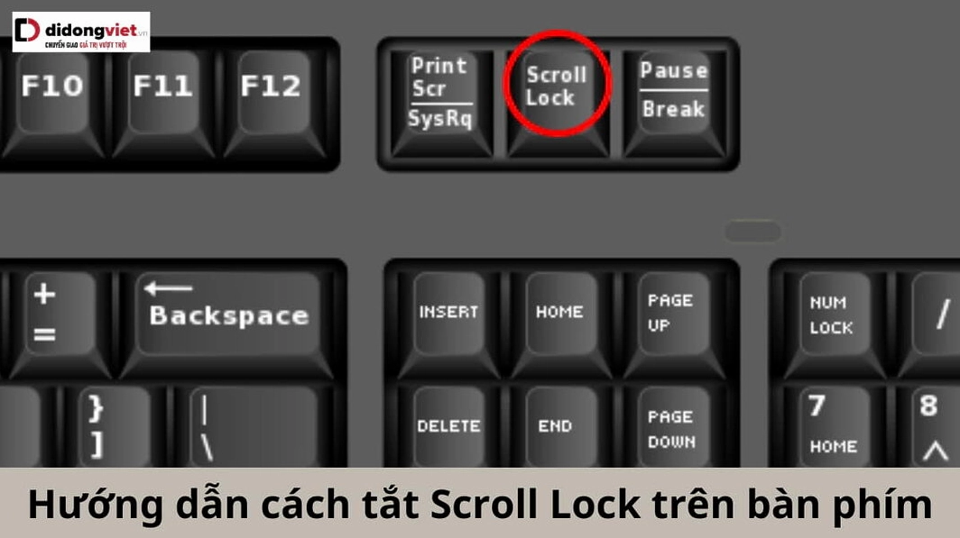 Hướng dẫn chi tiết cách tắt scroll lock trên laptop hiệu quả nhanh chóng 1 Hình ảnh minh họa cách tắt tính năng Scroll Lock trên bàn phím máy tính